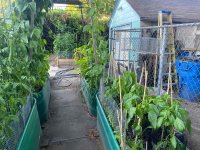 IMG_7579.jpeg