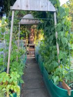 IMG_7585.jpeg