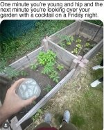 IMG_0448.jpeg