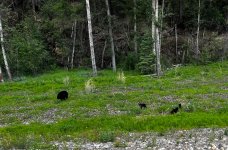 IMG_2022.jpeg