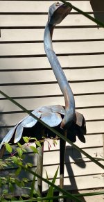 IMG_7592.jpeg