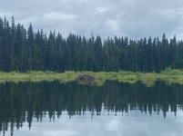 A body of water with trees in the background AI-generated content may be incorrect. A body of water with trees in the background AI-generated content may be incorrect.