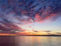 IMG_3315.jpeg
