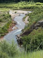IMG_3203.jpeg