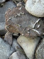 IMG_3209.jpeg