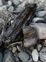 IMG_3211.jpeg