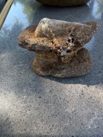 IMG_3240.jpeg