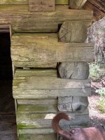 IMG_3218.jpeg
