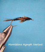 morristone nymph.jpg morristone nymph.jpg