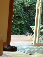 IMG_9277.jpeg