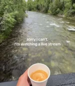 m9ub1yyubucf1.png.webp