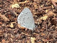 IMG_3103.jpeg