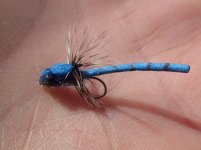 IMG_1923.jpeg