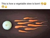 IMG_3110.jpeg