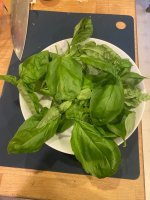 IMG_7623.jpeg