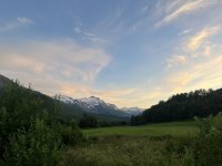 IMG_5974.jpeg IMG_5974.jpeg