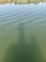 IMG_5805.jpg IMG_5805.jpg