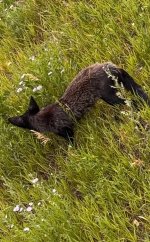 IMG_7625.jpeg