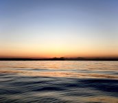 E88133CF-7C9A-48C0-A090-BD39F8BBB089.jpeg