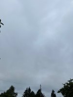 IMG_3154.jpeg