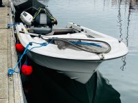 IMG_7010.jpeg