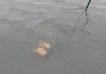 IMG_3160.jpeg