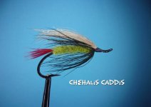 Chehalis Caddis.jpg