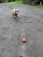 IMG_2879.JPG IMG_2879.JPG