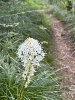 IMG_4131.jpeg IMG_4131.jpeg