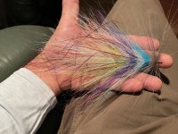 IMG_4815.jpeg