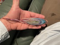 IMG_4817.jpeg