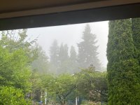 IMG_3196.jpeg