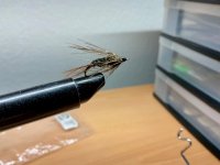 IMG_0161.jpeg