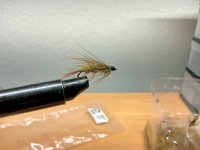 IMG_0163.jpeg