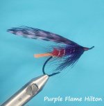 Purple Flame Hilton.jpg