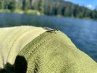 IMG_9191.jpeg IMG_9191.jpeg