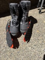 IMG_1595.jpeg