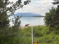 IMG_1096.jpeg IMG_1096.jpeg