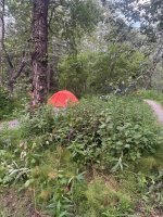 IMG_1098.jpeg IMG_1098.jpeg