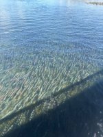 IMG_1089.jpeg IMG_1089.jpeg