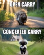 IMG_3216.jpeg