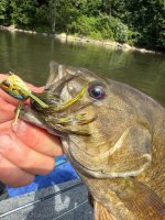 IMG_0256.jpeg