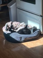 IMG_4282.jpeg