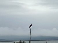 IMG_3219.jpeg