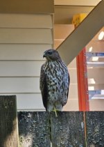 IMG_6224.jpeg