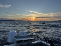 IMG_7653.jpeg