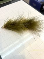 IMG_6646.jpeg