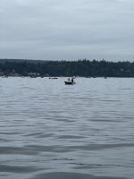 IMG_7666.jpeg
