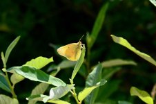 DSC_3472.jpeg
