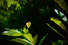 DSC_3478.jpeg